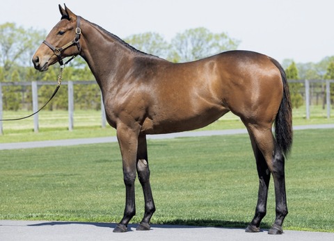 FBBF44F2-0FDB-43A7-A1E4-43485F3A6687