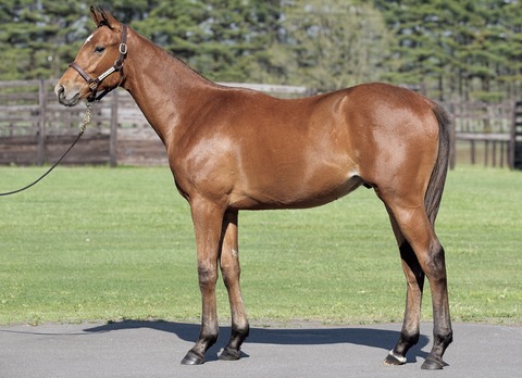 1D16F9BF-43BE-4CEA-BA87-0F71938FAF76