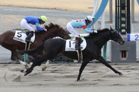 909EB567-1F65-4934-9653-C94CF8F006E4