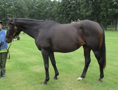 5ECAE23C-4FF4-4A29-B05F-94CB7BDF708C