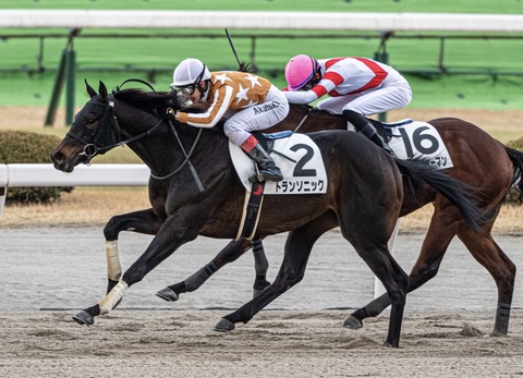 87831507-4BEB-4AC7-8291-66092B3F70C4