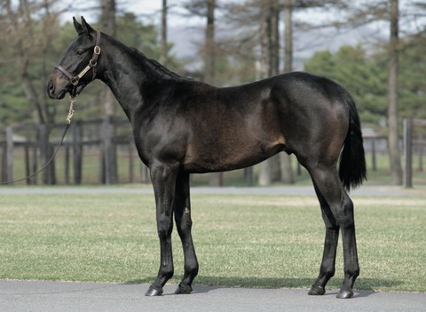 33B9EDC0-3DE7-4229-81AF-3A8BD8D2E29B