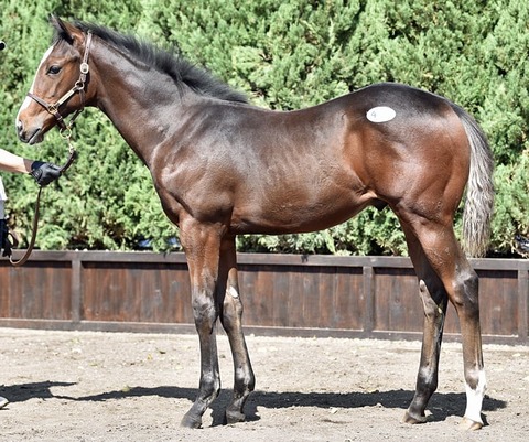 3022ADA7-C2FB-4CA7-9472-DB4FF0C5D7F2