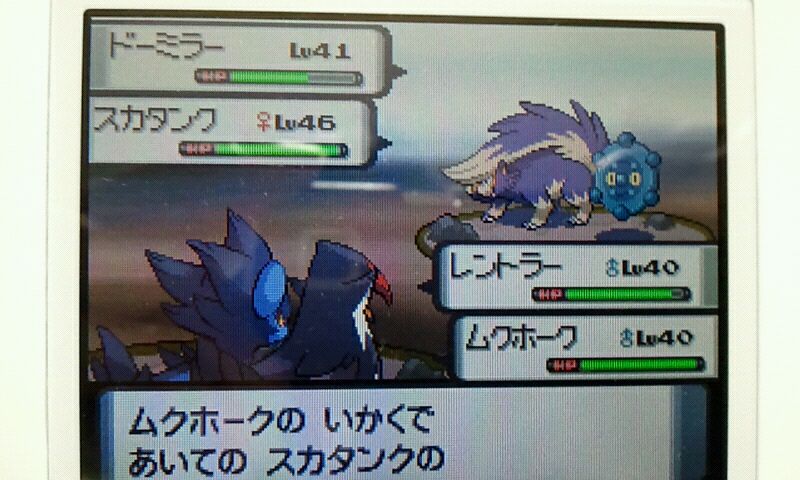 ポケモンdpタイムアタックその1 ナサの気まぐれ日記 W
