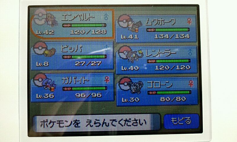 ポケモンdpタイムアタックその1 ナサの気まぐれ日記 W