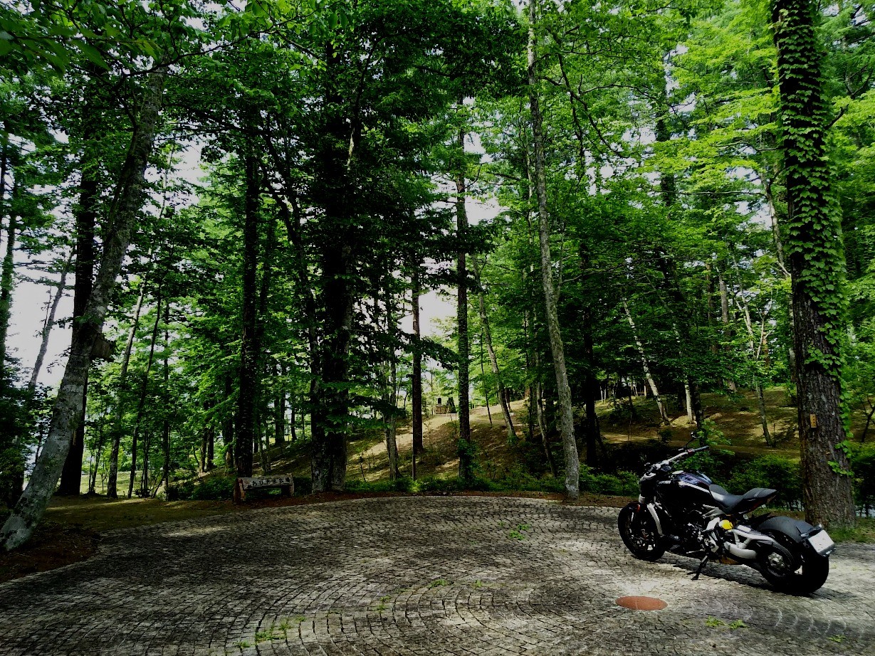 2015 ZX6R フロントフォーク オーリンズ スプリング 2015 ZX6R フロントフォーク オーリンズ スプリング