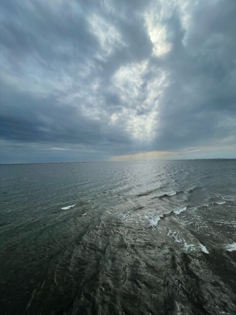 thumbnail_image1