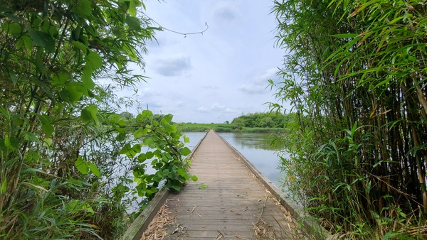走行風景