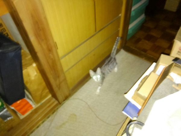20150928_235251