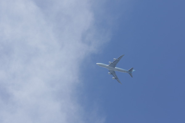 8Z0A4785