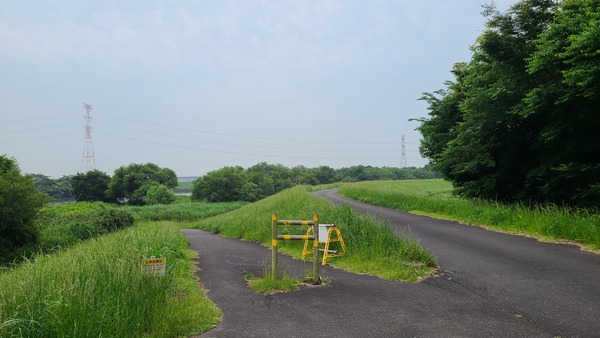 ジョギング風景