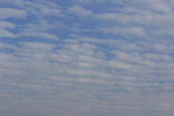 8Z0A3972
