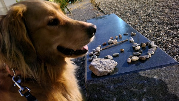 犬2