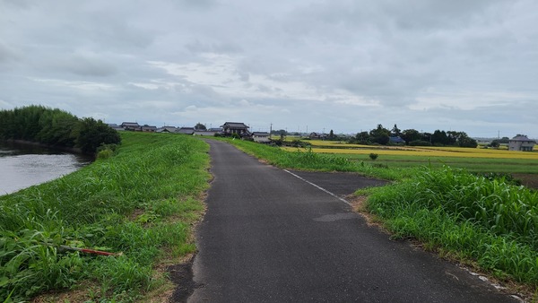 走行風景