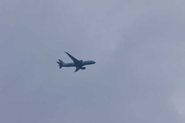 8Z0A4835