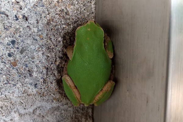 IMG_20241004_082821745