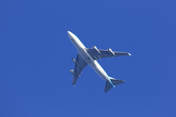8Z0A5626