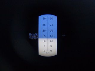 イメージ 4