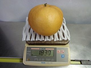 イメージ 2