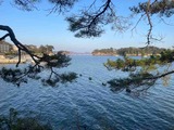 IMG_6580