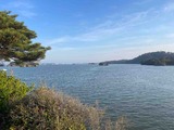 IMG_6582