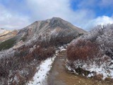 IMG_2537
