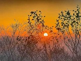 IMG_4024