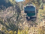 IMG_4966