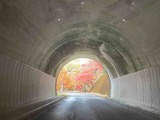 IMG_5483