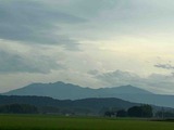 IMG_5371
