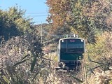 IMG_4963