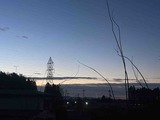 IMG_5924