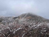 IMG_2525