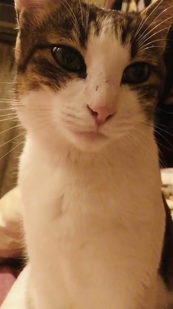 ねおくんすき わ わ エンパス わー エンパス 地下アイドル速報局