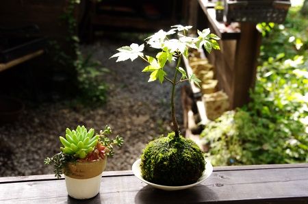 2014-9-19-3s.jpg