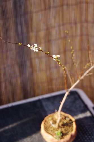 2014-2-17-3s.jpg