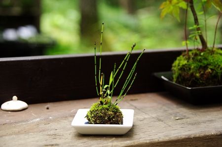 2013-7-24-4s.jpg