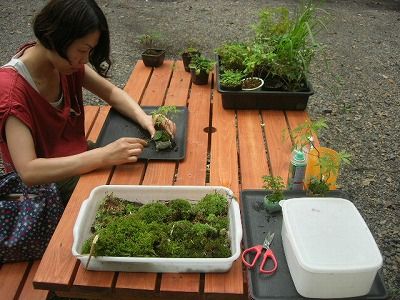 2011-8-16-3ss.jpg
