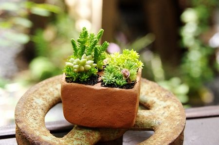 2013-8-30-2s.jpg