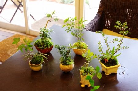 2013-7-19-5ss.jpg