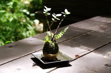 2013-7-19-4ss.jpg