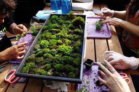 2013-8-10-3s.jpg