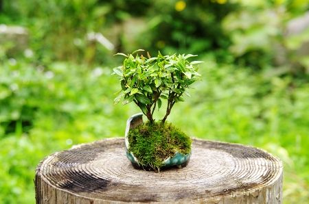2013-8-1-1s.jpg