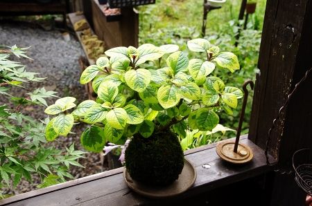 2014-9-16-4s.jpg