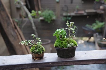 2013-9-30-4s.jpg