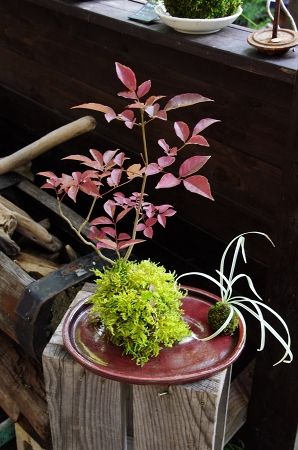 2014-10-7-1s.jpg