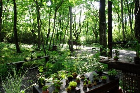 2013-6-23-1s.jpg