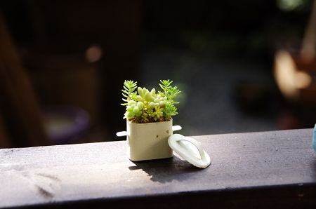 2013-9-20-4s.jpg