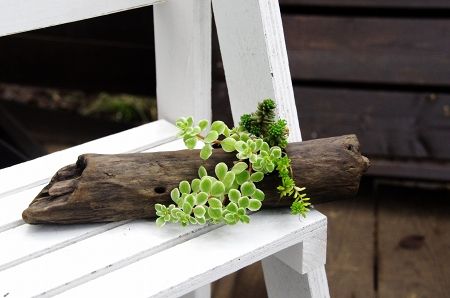 2013-9-6-1s.jpg