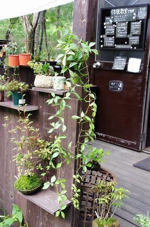 2014-8-29-4s.jpg